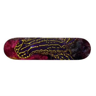 Regal Sea Goddess Nudibranch Felimare picta Skateboard Deck