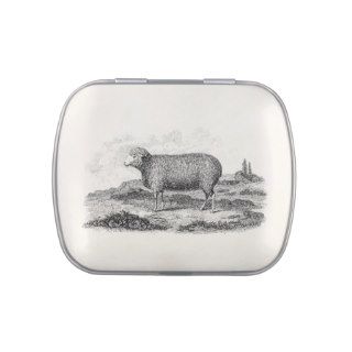 Vintage 1800s Merino Sheep Ewe Lamb Template Jelly Belly Candy Tins