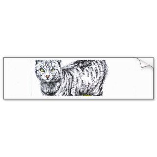 Black white cat pencil drawing bumper stickers