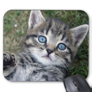 Adorable Blue Eyed Silver Tabby Kitten Mousepad