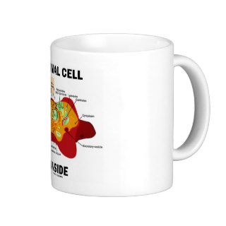 Animal Cell Inside (Eukaryote Cell Biology) Mugs