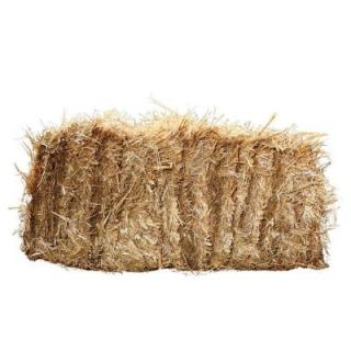 Baled Wheat Straw 875333
