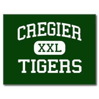 Cregier   Tigers   Vocational   Chicago Illinois Postcard