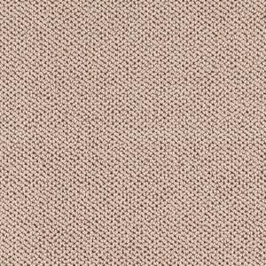 TrafficMASTER Deliverable   Color Shifting Sands 12 ft. Carpet 0318D 30 12
