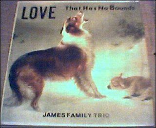 Love That Has No Bounds (Cover Art Painting Of Collie) Music