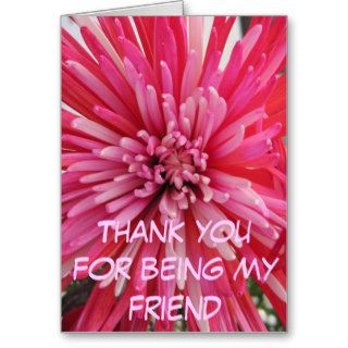 Thank you for being my friend card