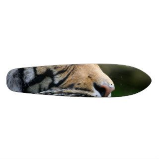 Gorgeous Bengal Tiger Face Skate Deck