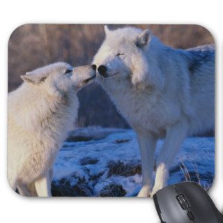 Arctic Wolves Sniffing Each Other Mouse Pad