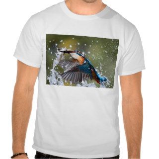 Common kingfisher hi res cropped Huang T Shirt