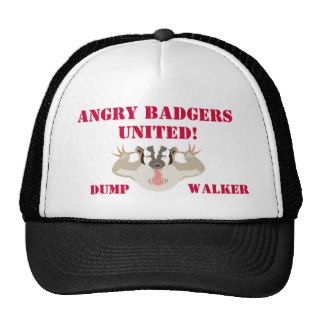 Wisconsin Politics_Angry Badgers United_DumpWalker Mesh Hat