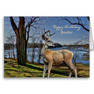 BIRTHDAY   BROTHER   DEER/NATURE GREETING CARD