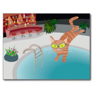 Pool cat post cards