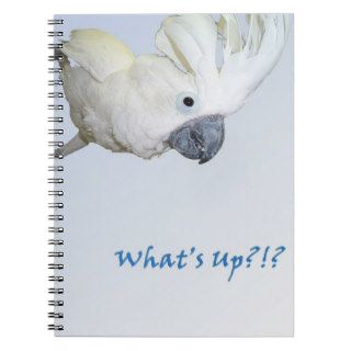 Umbrella Cockatoo asking Whats Up Spiral Notebook