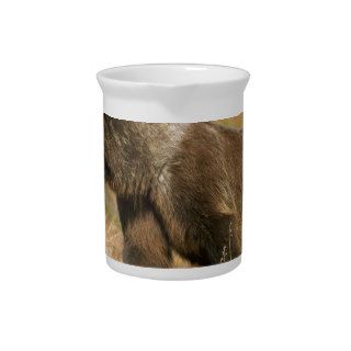 Bear Grizzly Tundra Alaska Drink Pitchers