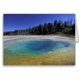 NA, USA, Wyoming, Yellowstone National Park. 2 Greeting Cards
