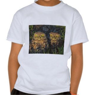 Burrowing Owls Cuddled in their Burrow Shirts