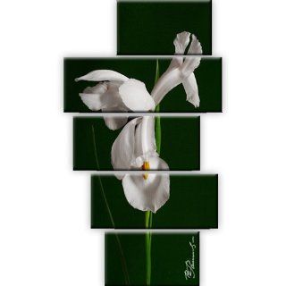 Leinwandbild Blume Wandbild 5 Teilig 175x100 cm Küche & Haushalt