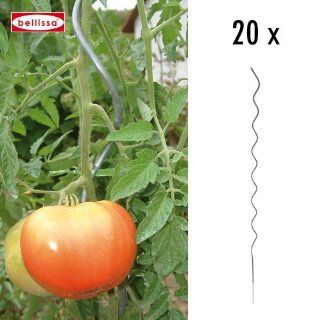 Tomatenspirale 20 Stk. H. 180 cm 10008 Garten