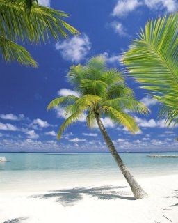 Fototapete "Strand in der Karibik", 184x254cm, Ari Atoll, 4 teilig. Küche & Haushalt