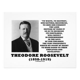 Theodore Roosevelt Waste Destroy Natural Resources Full Color Flyer