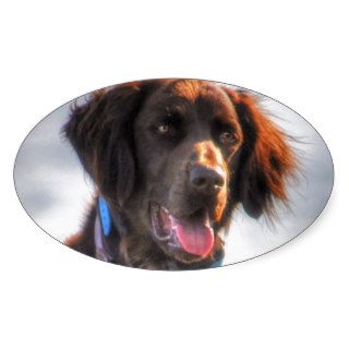 German Longhaired Pointer Dog HDR Photo Sticker