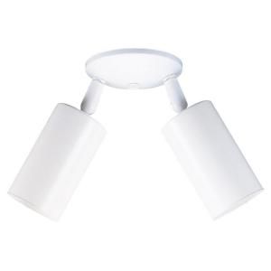 Sea Gull Lighting Bullets 2 Light Directional White Flush Mount fixture DISCONTINUED 2013 15