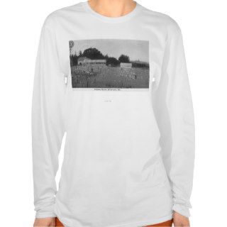 View of a Chicken Ranch, Chickens Are Everywhere T Shirt