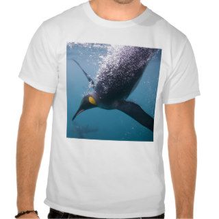 Antarctica, South Georgia Island (UK), 3 T shirts