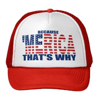 BECAUSE 'MERICA THAT'S WHY US Flag Trucker Hat