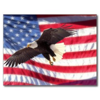 American Eagle and Flag Postcard