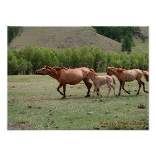Mongolian Horses Print