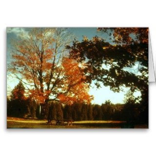 Autumn Begins Card