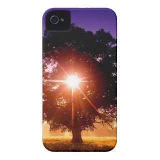 Tree Of Life Case Mate iPhone 4 Case