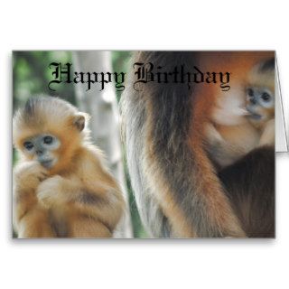 Happy Monkey Birthday Greeting Card