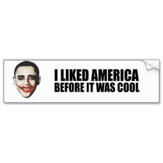 I LIKED AMERICA BEFORE IT WAS COOL BUMPER STICKERS