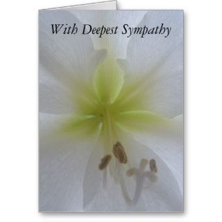 With Deepest Sympathy cards