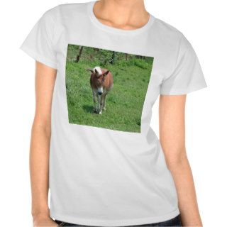 MIssouri Mule Tshirt