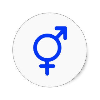 Gender Neutral Blue The MUSEUM Gifts Round Stickers