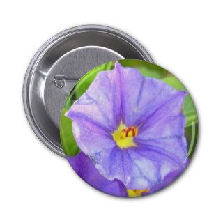 Blue Solanum Pins