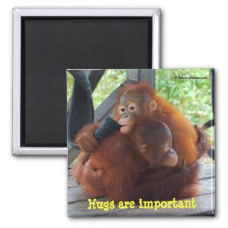 Inspiration Babies Hugs Are Important Fridge Magnets