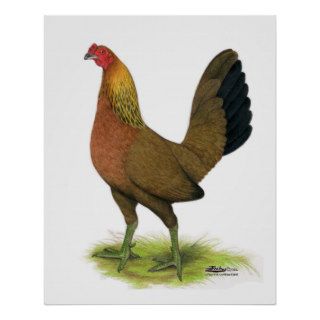 Game Hen  Pea combed Poster