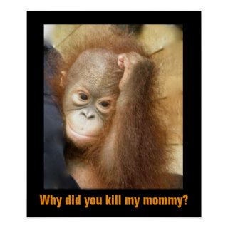 Save Endangered Wildlife Orphan Orangutan Poster