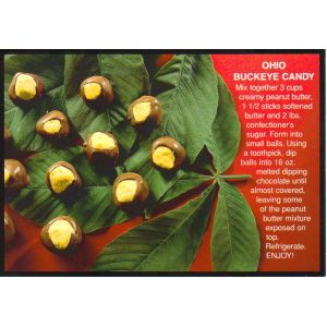 Ohio State Buckeyes Candy Recipe Postcard