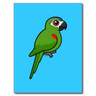 Red shouldered Macaw Post Cards