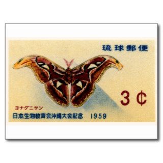 1959 Ryukyu Islands Atlas Moth Postage Stamp Post Card