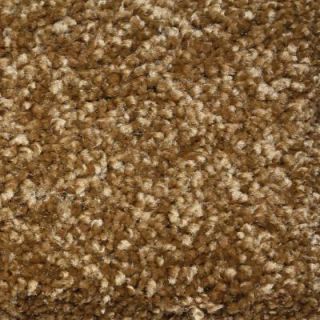 Truly Soft II   Color Canyon Earth 12 ft. Carpet HD052 06