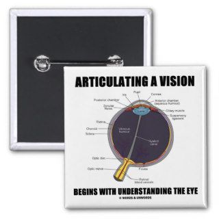 Articulating A Vision Begins Understanding Eye Pinback Button