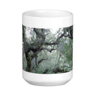 Tangled Oak Trees in Paso Robles, California Mug