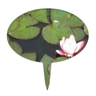 Light Pink Water Lily floating in a  green pond Cake Pick