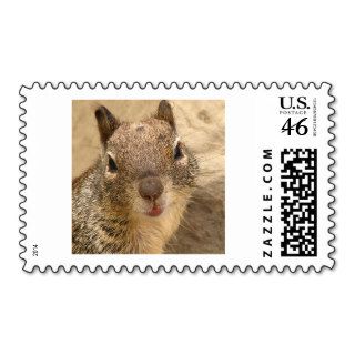 Smiling Squirrel stamp 1